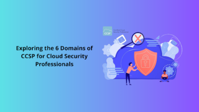 Exploring the 6 Domains of CCSP for Cloud Security Professionals